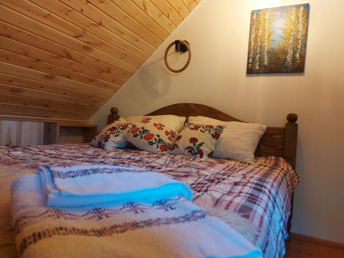 Casuta Din Rusca Villa Sebesu de Jos Ngoại thất bức ảnh